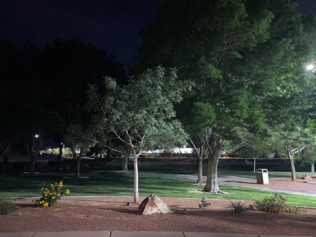 walking near me in Sunridge Park in spring