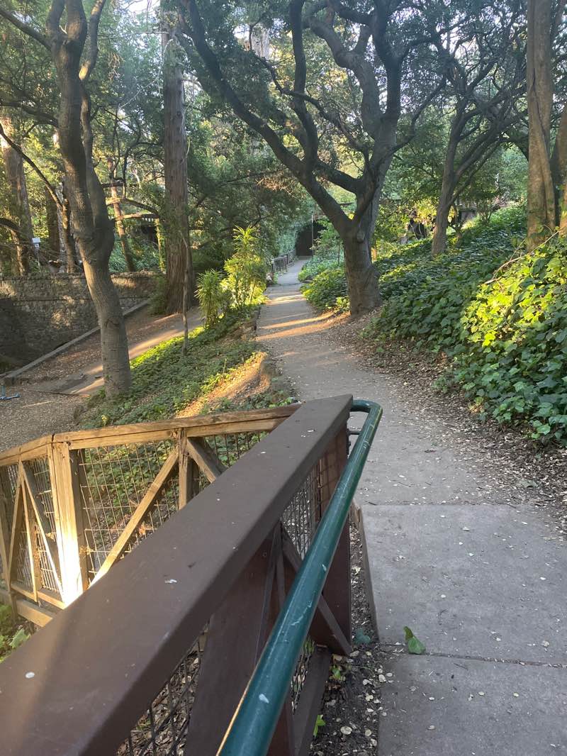 walking near me in Live Oak Park in spring