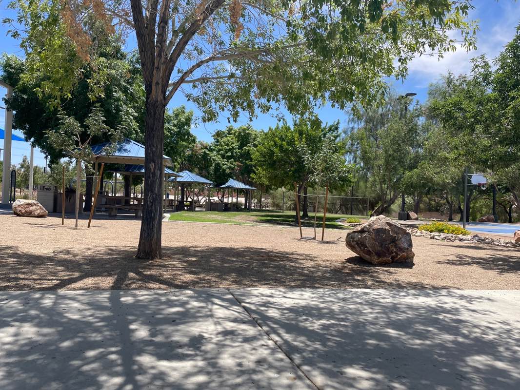 walking near me in Cactus Wren Park in summer