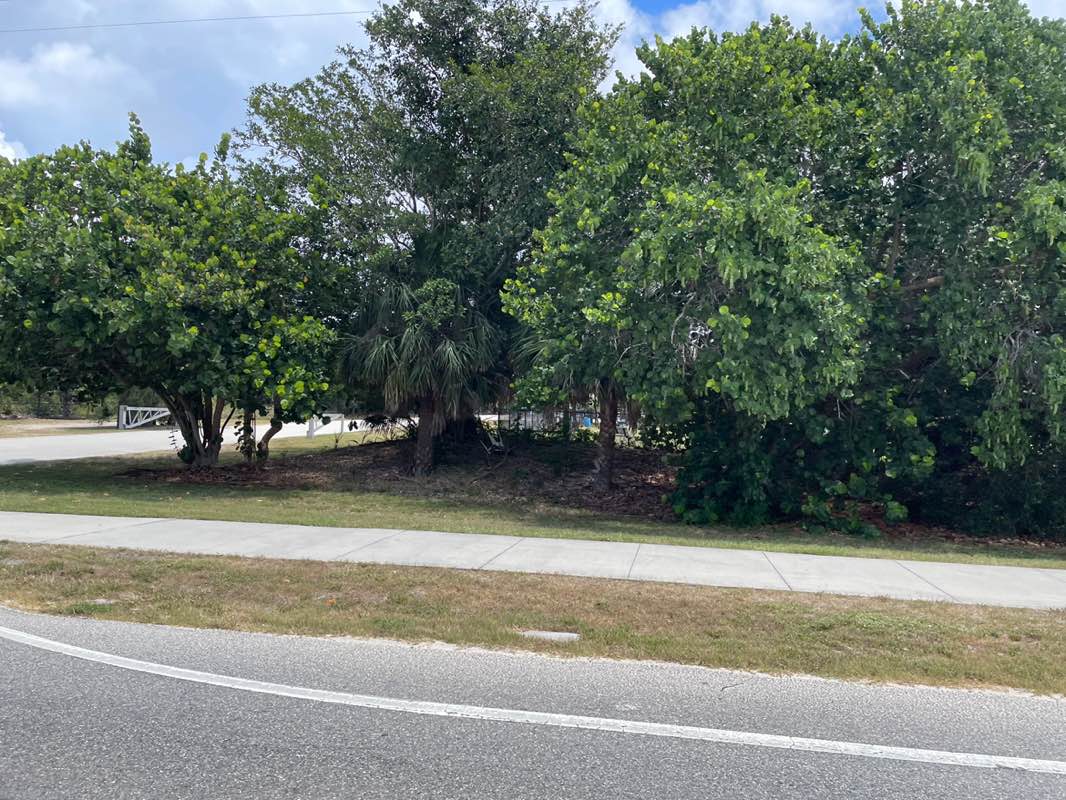 walking near me in Lori Wilson Park in summer