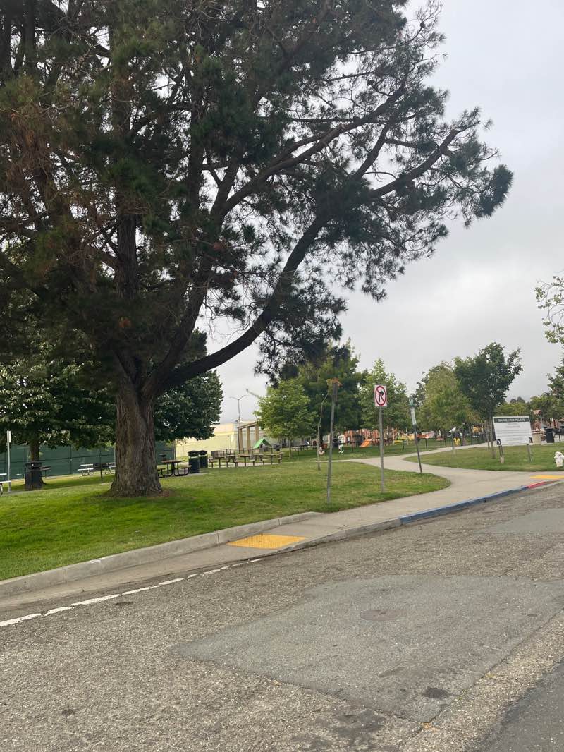 walking near me in San Pablo Park in summer