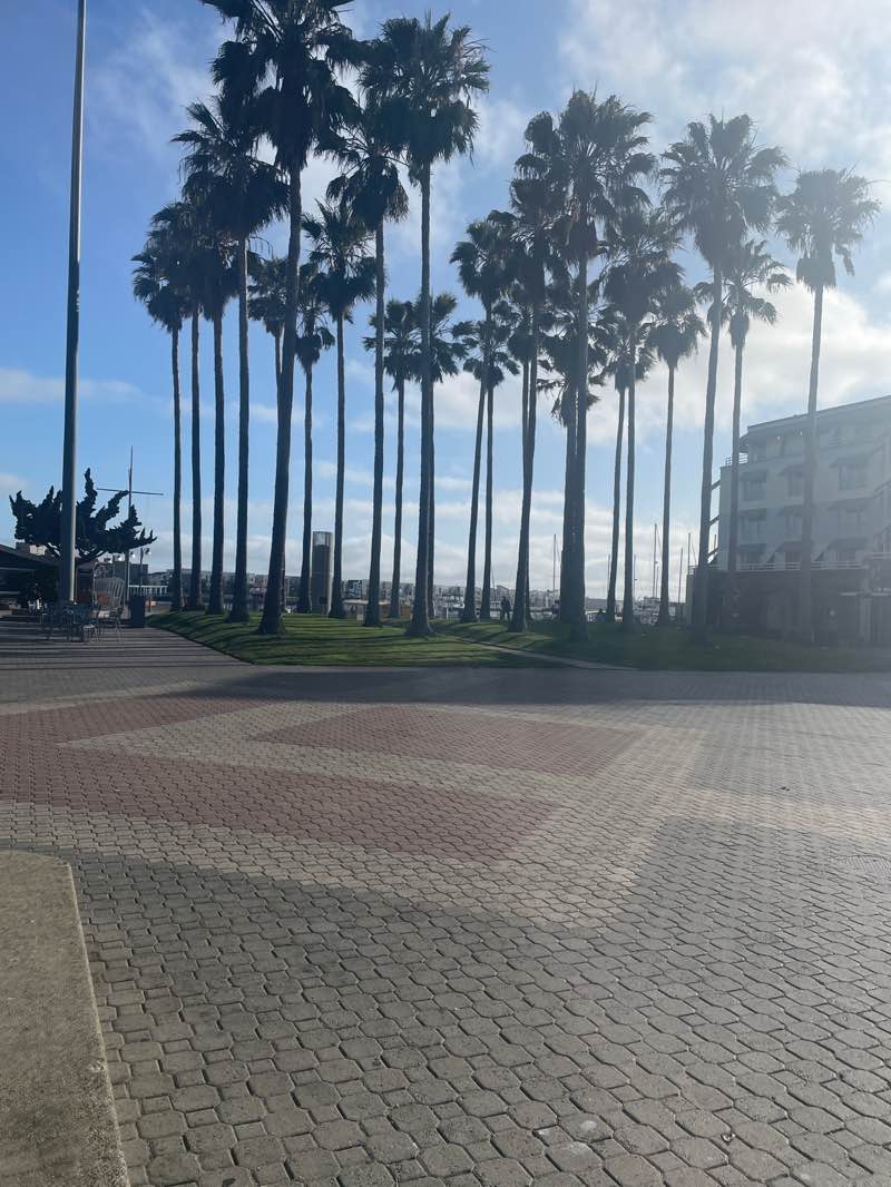 walking near me in Estuary Park in summer