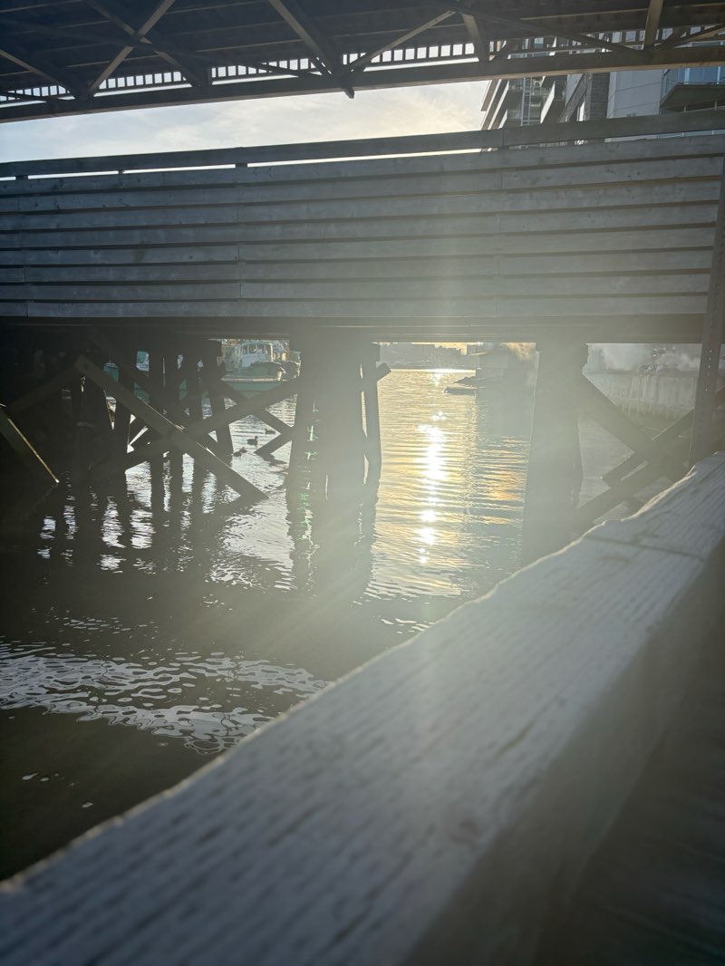 walking near me in Martins Park in winter