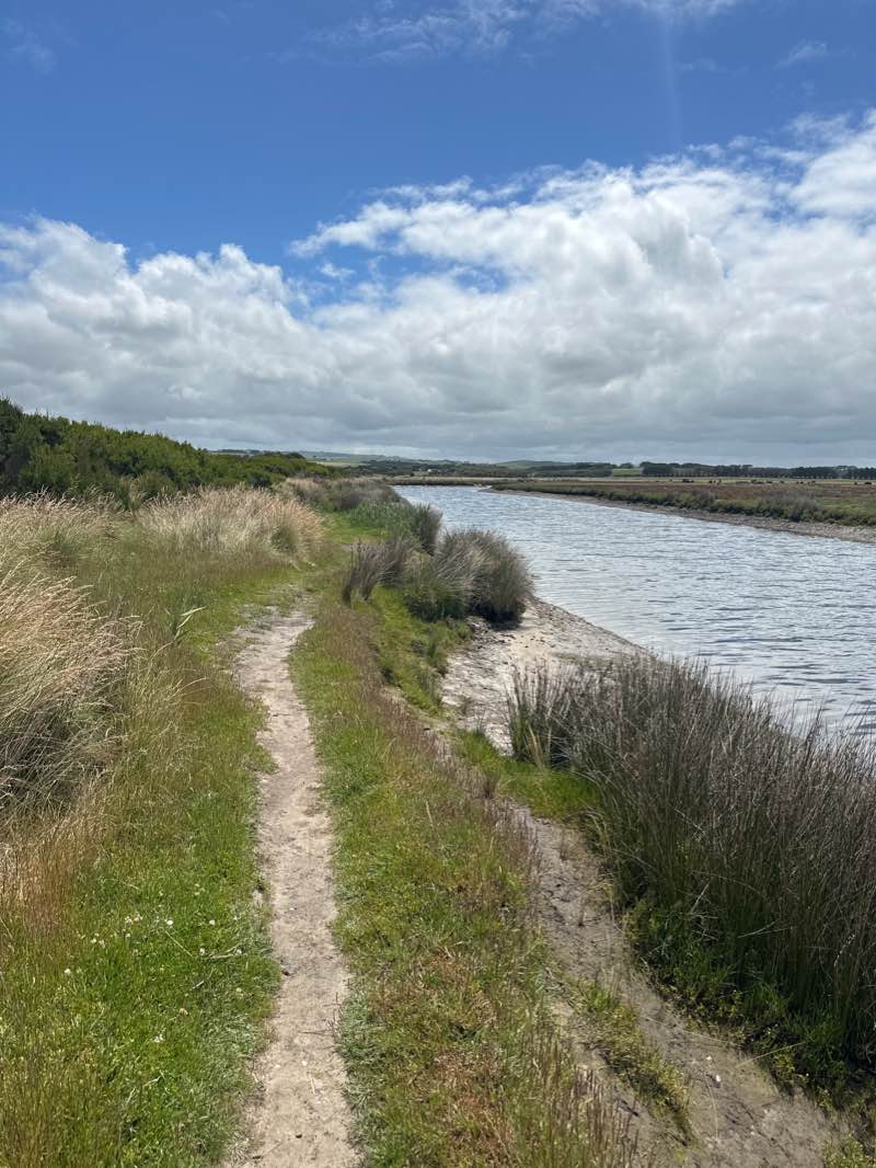 walking near me in Kilcunda - Harmers Haven Coastal Reserve in summer