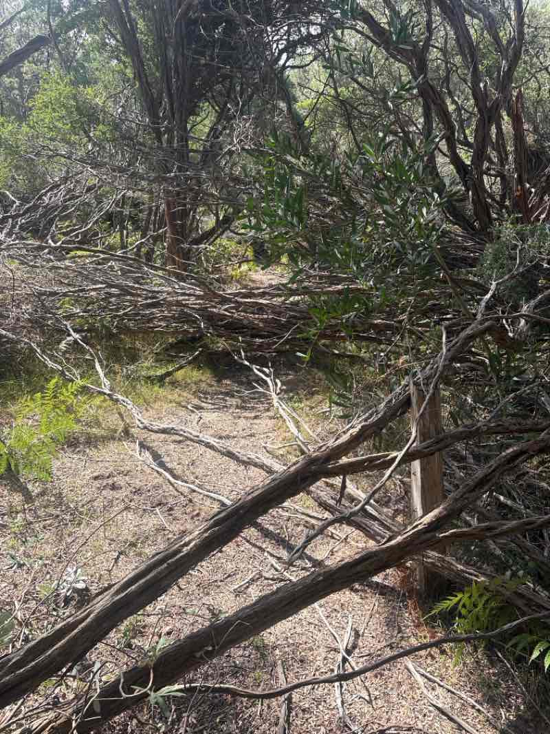 walking near me in Cape Liptrap Coastal Park in autumn