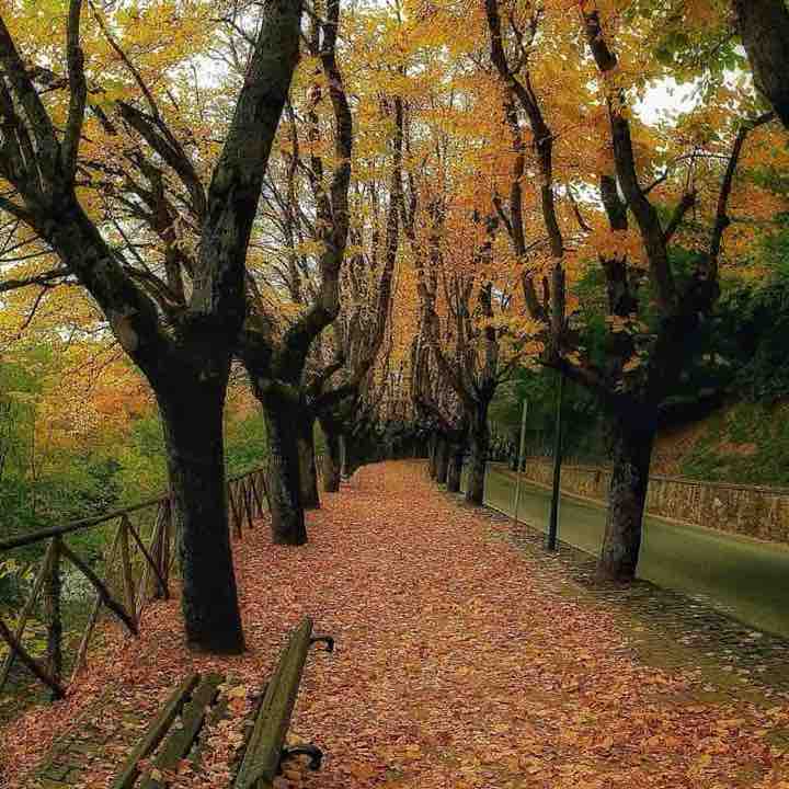 Hellen SoloOrizzonti🏃🏼‍♀️‍➡️ post 2