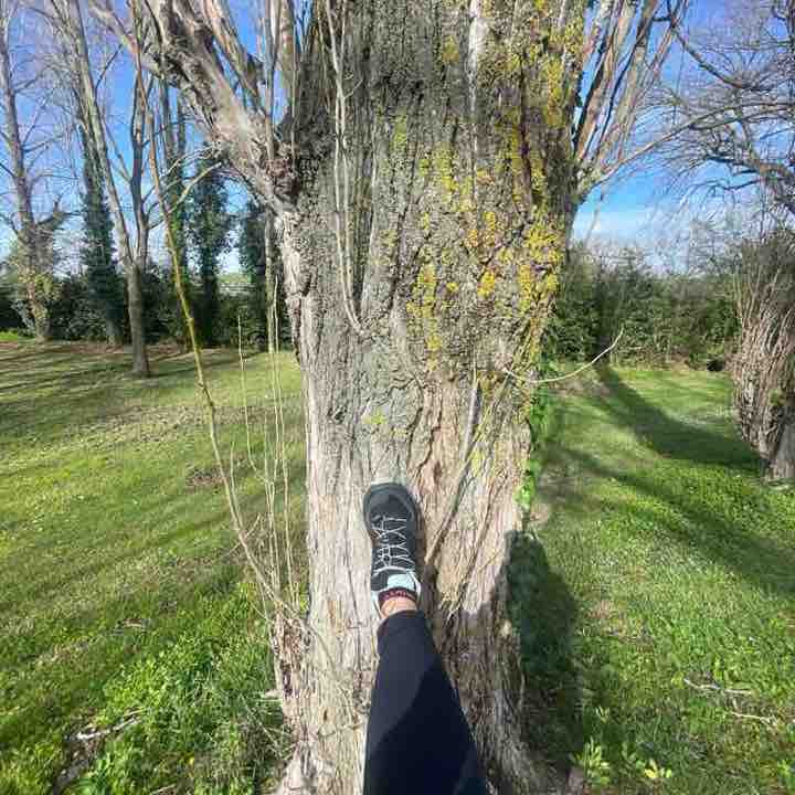 Hellen SoloOrizzonti🏃🏼‍♀️‍➡️ post 3