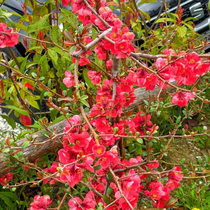 Hellen SoloOrizzonti🏃🏼‍♀️‍➡️ post 2