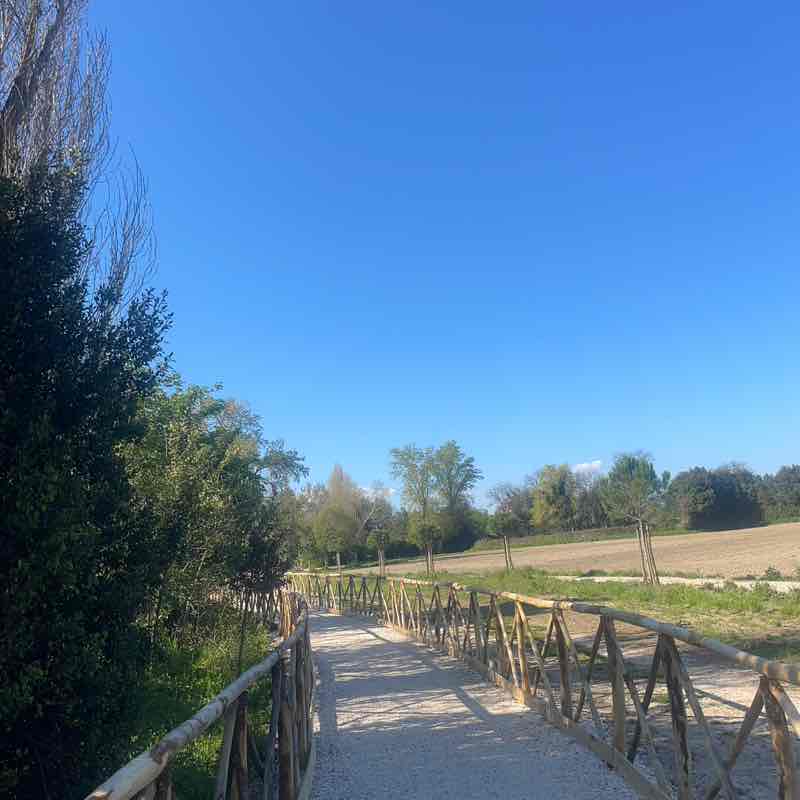 Hellen SoloOrizzonti🏃🏼‍♀️‍➡️ post 2