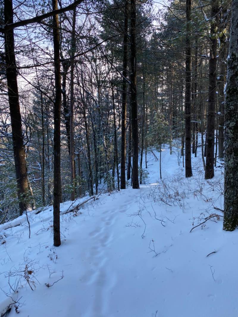 walking near me in Levis/Trow Mound Recreation Area in winter