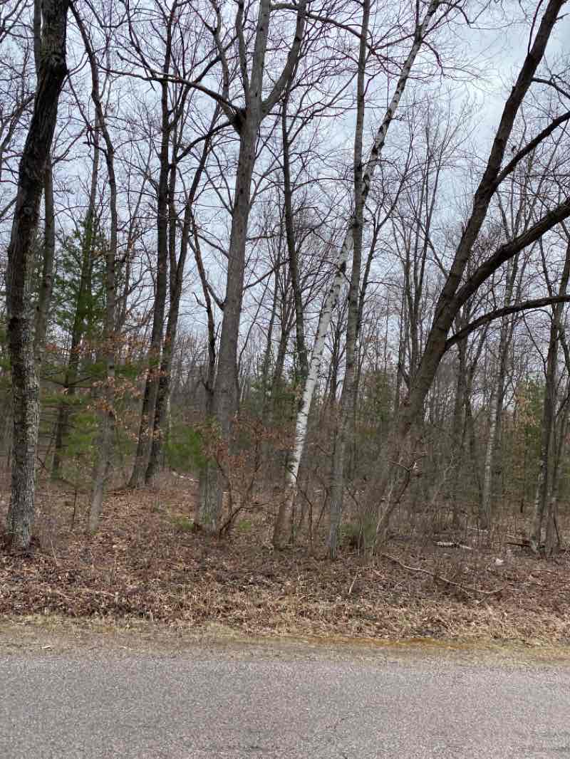 walking near me in Mount Davis Natural Area in winter