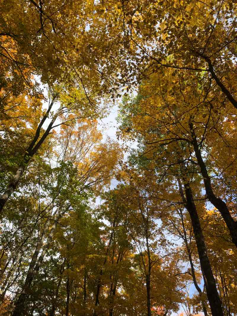 walking near me in Bon Echo Provincial Park in winter