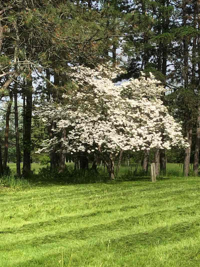 walking near me in Whirlpool State Park in winter