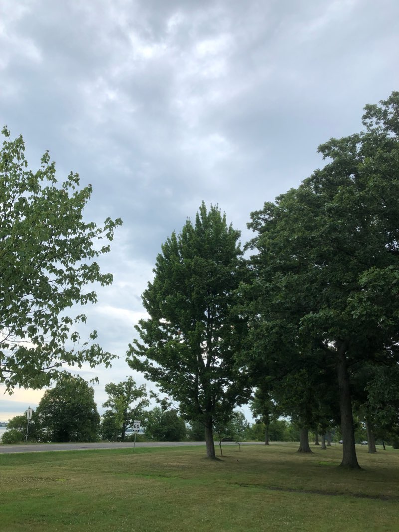 walking near me in Chippawa Battlefield Park in winter