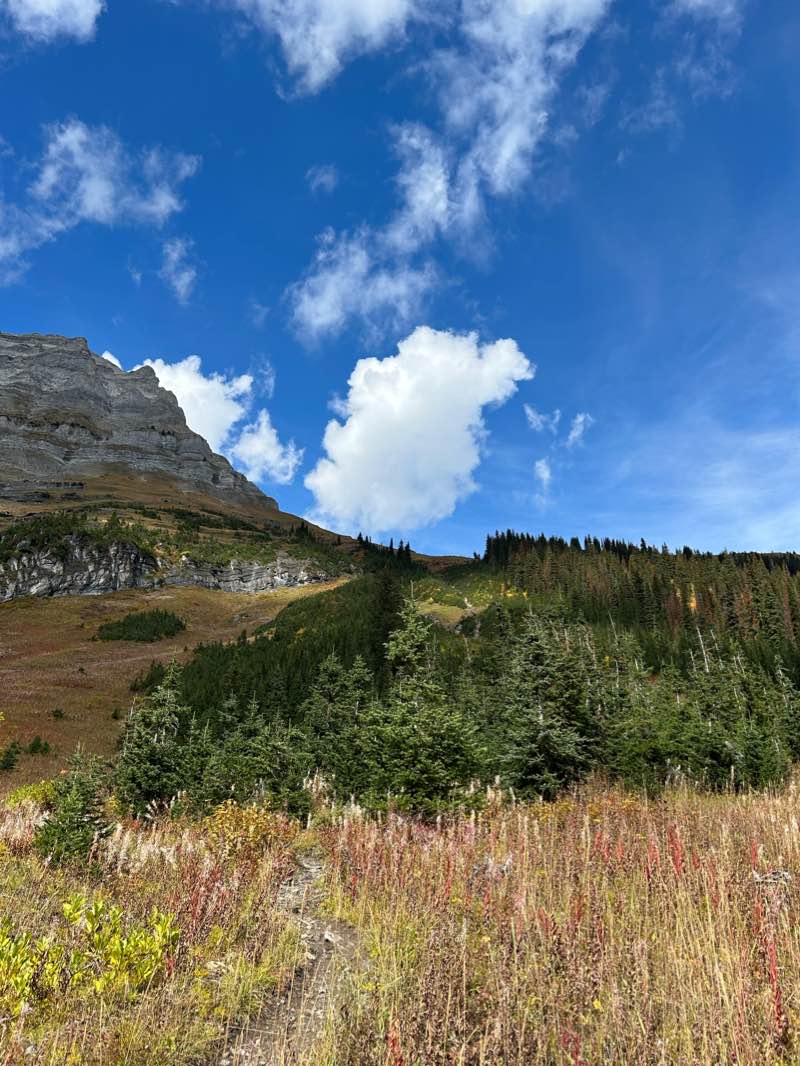 walking near me in Peter Lougheed Provincial Park in winter