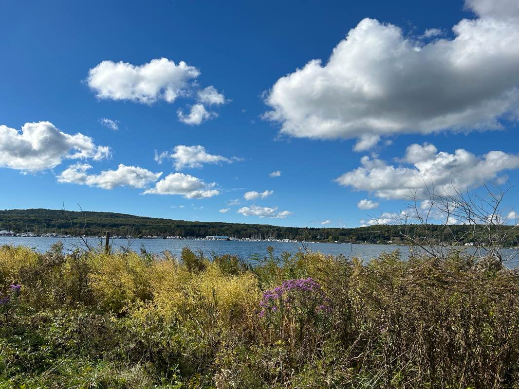 walking near me in Penetanguishene Rotary Park in winter