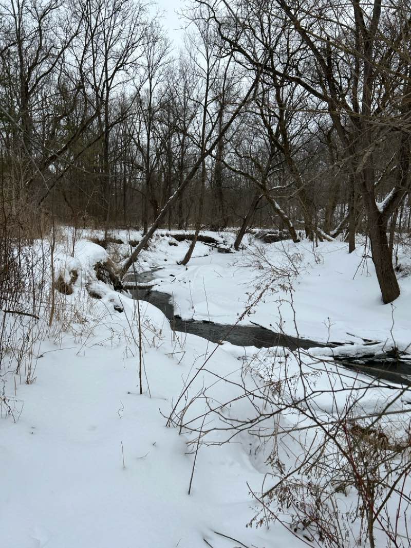 walking near me in Short Hills Provincial Park in winter