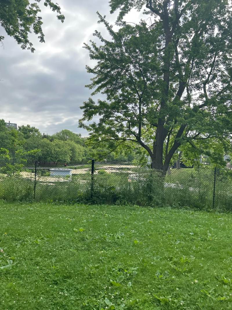 walking near me in Parc La Fontaine in summer