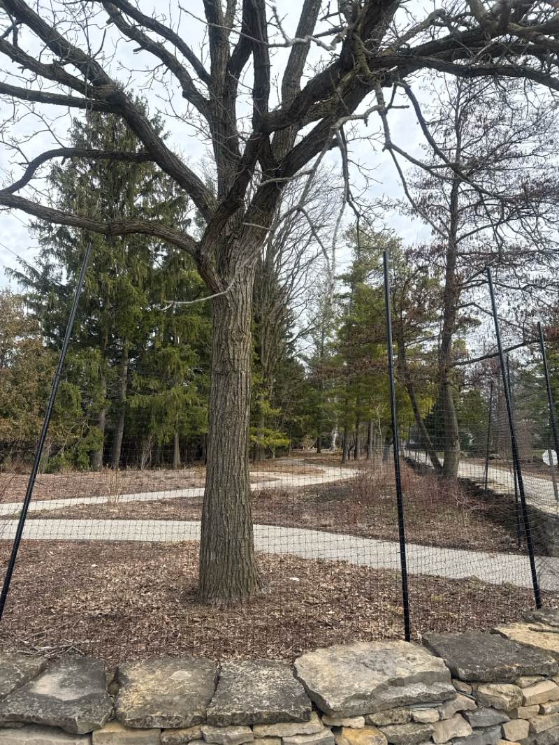 walking near me in Niagara Parks Botanical Gardens in spring