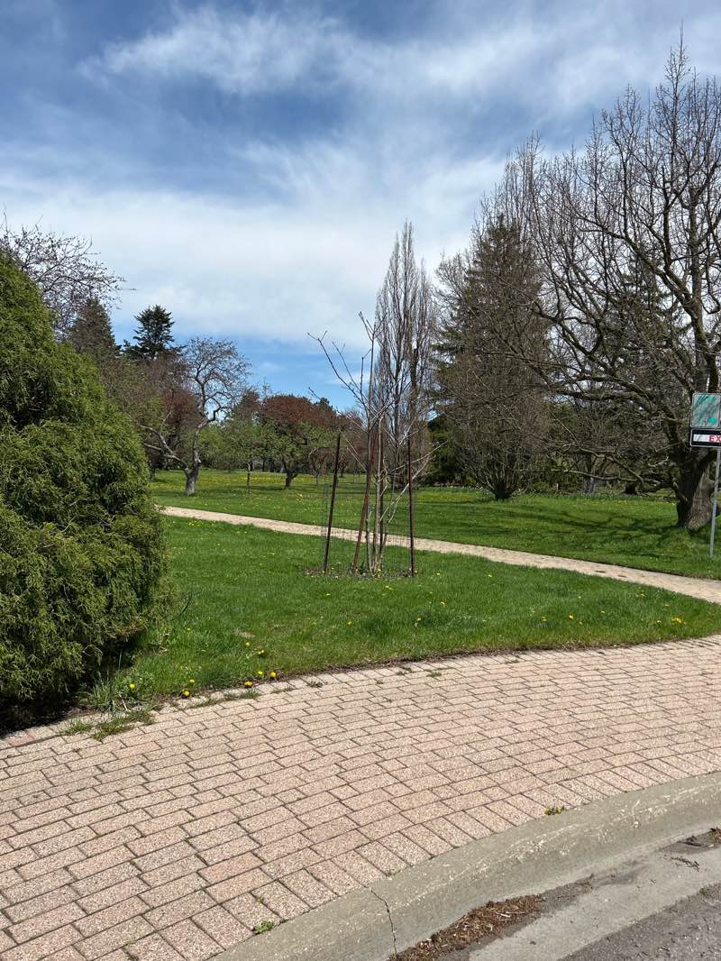 walking near me in Niagara Parks Botanical Gardens in spring