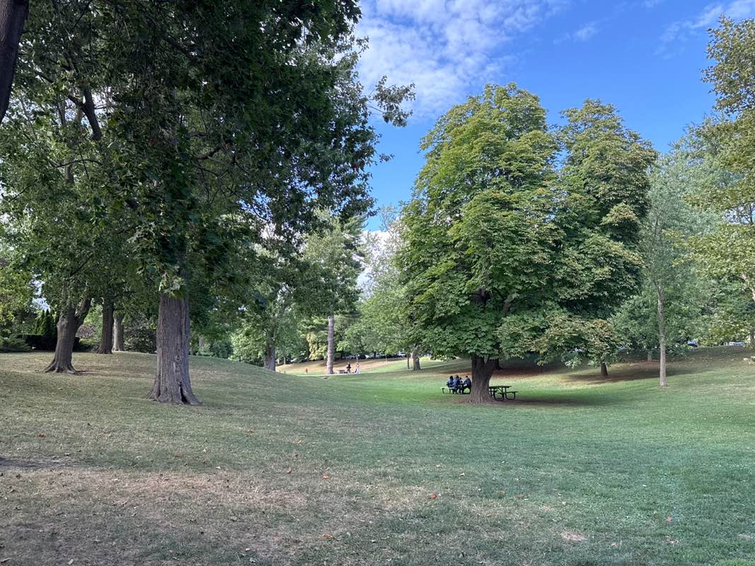 walking near me in Simcoe Park in autumn