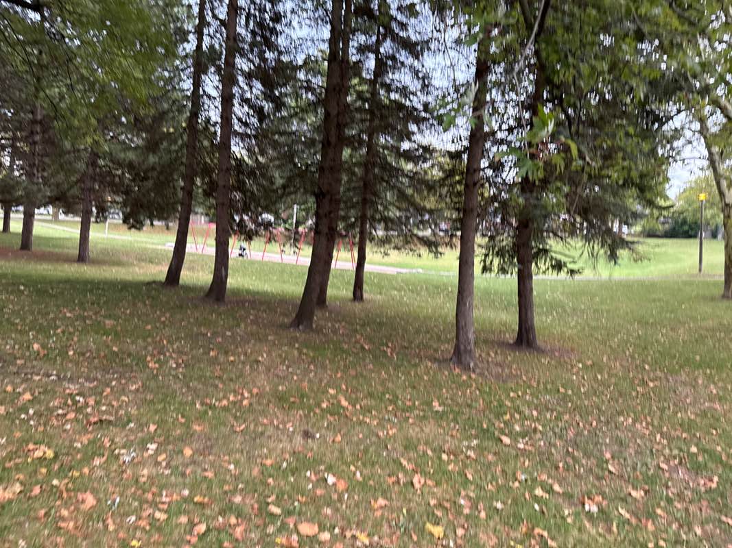 walking near me in F.H. Leslie in autumn