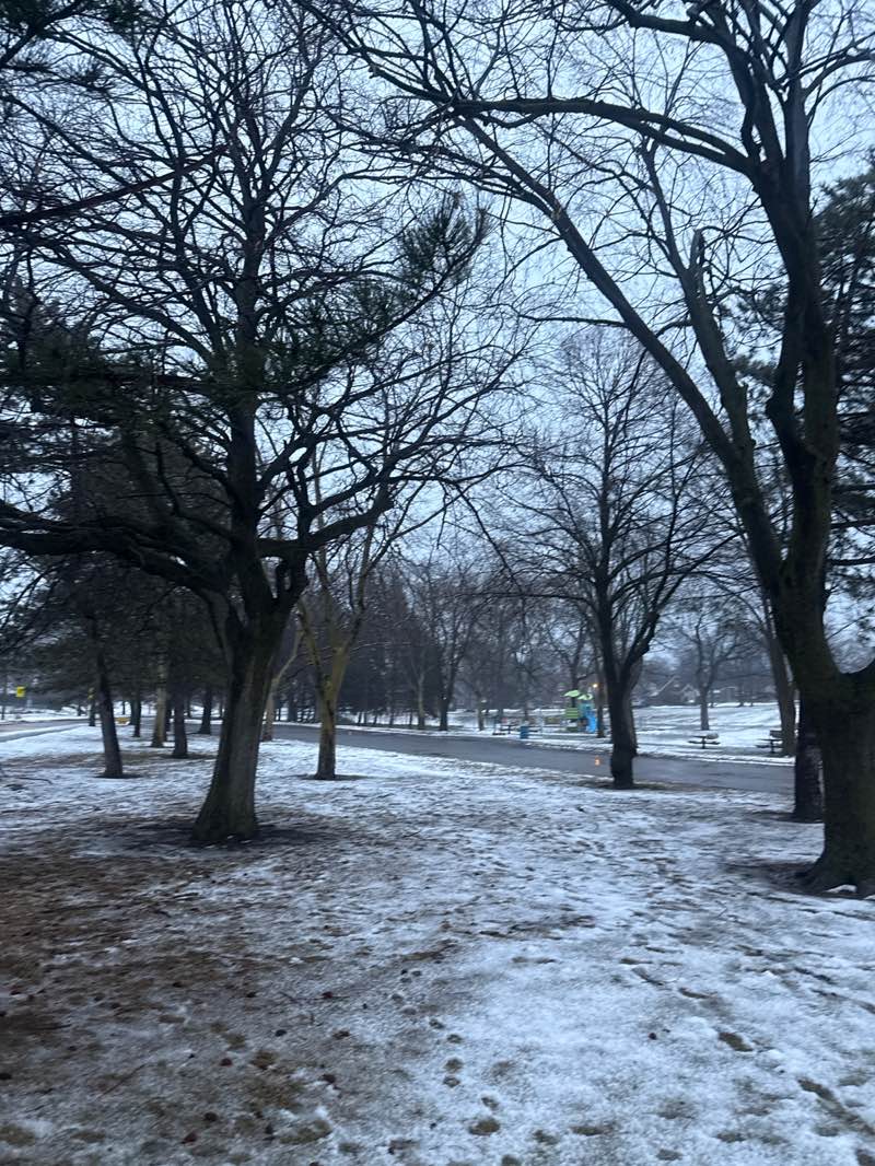 walking near me in F.H. Leslie in winter