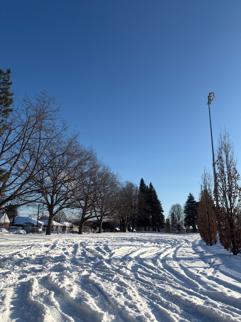 walking near me in Oakes Park in winter