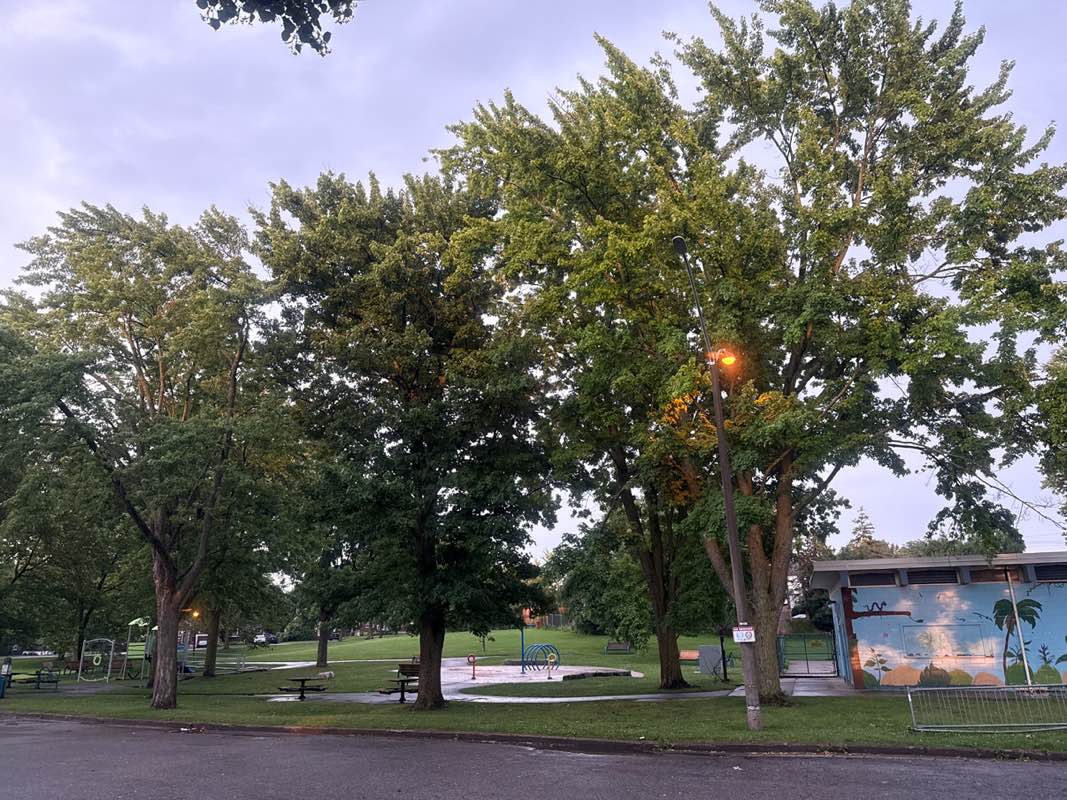 walking near me in F.H. Leslie in summer