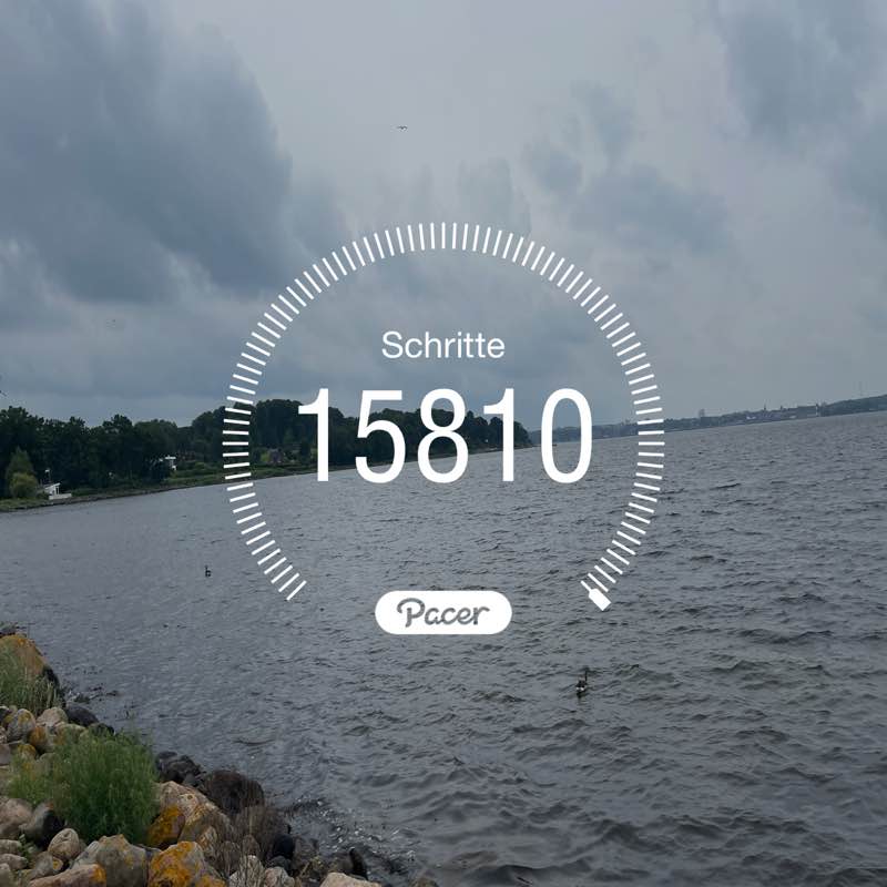 Jelena Cirkovic Cirkovic post 1