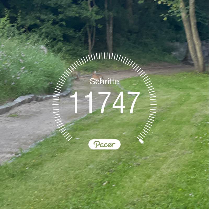 Jelena Cirkovic Cirkovic post 1