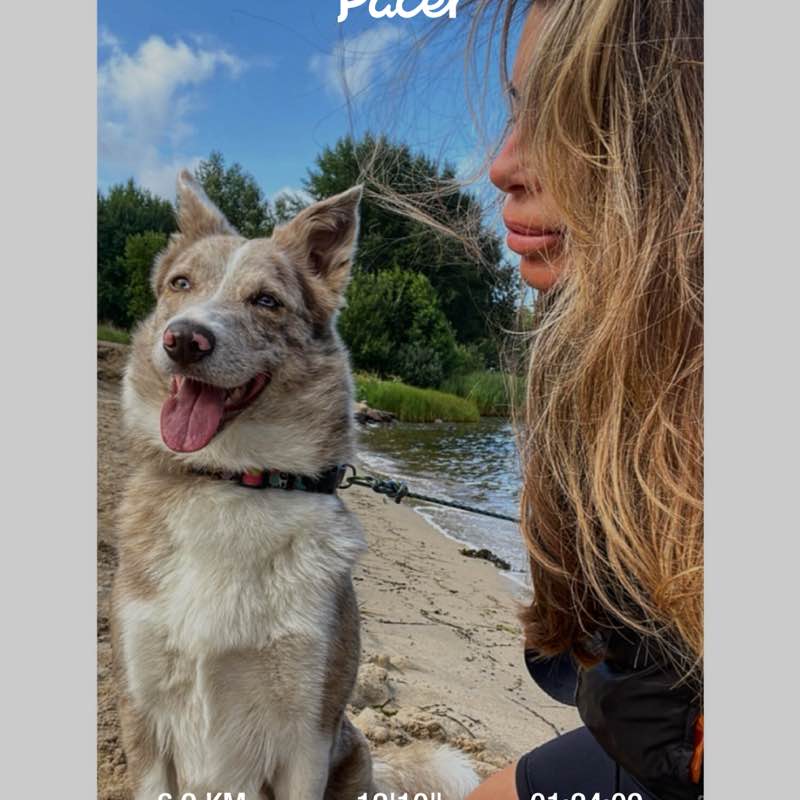 Jelena Cirkovic Cirkovic post 1