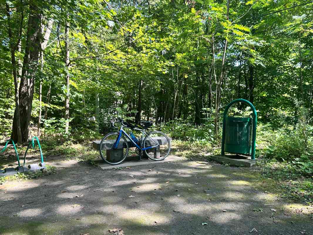 walking near me in Parc de la Pommeraie in autumn