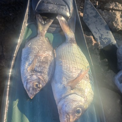 Camminare in buona compagnia...! Federica post image