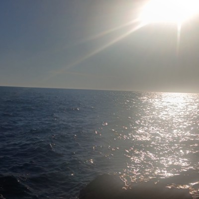 Camminare in buona compagnia...! Federica post image