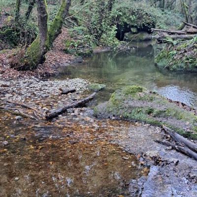 Camminare in buona compagnia...! Federica post image