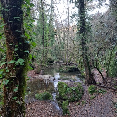 Camminare in buona compagnia...! Federica post image