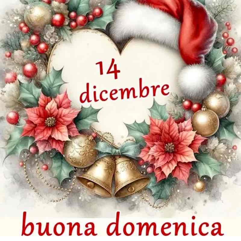 December Group Challenge massimo 🥇🏰🥇 post image