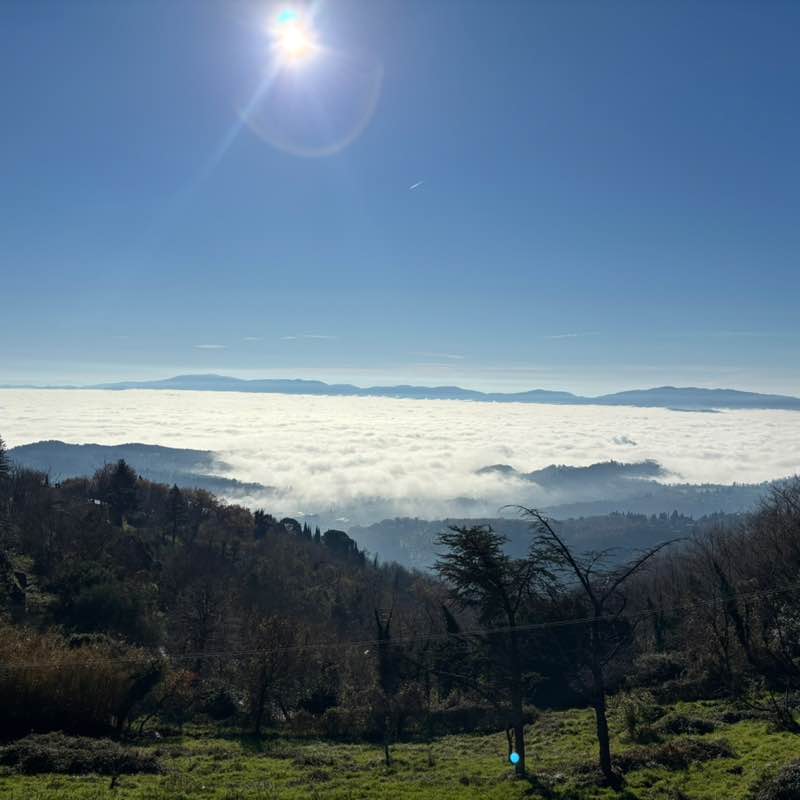 December Group Challenge massimo 🥇🏰🥇 post image