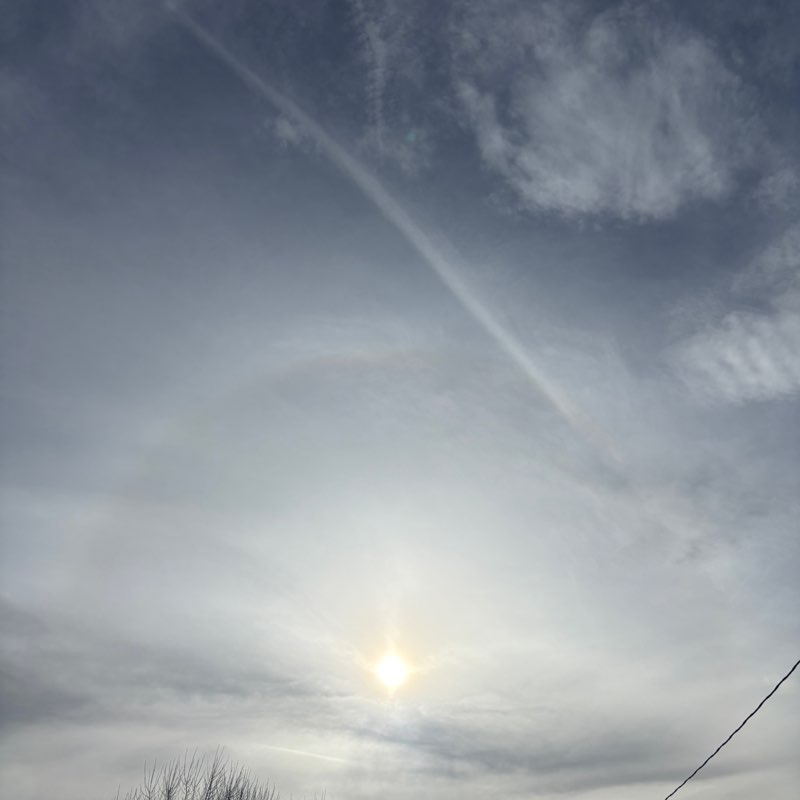 February Group Challenge massimo 🥇🏰🥇 post image