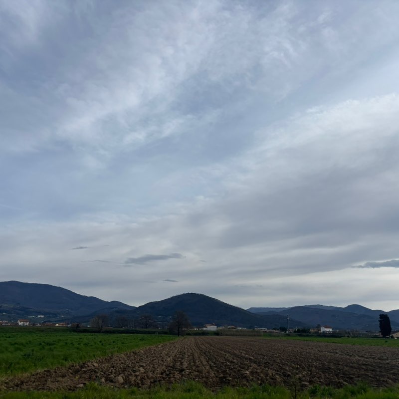 February Group Challenge massimo 🥇🏰🥇 post image