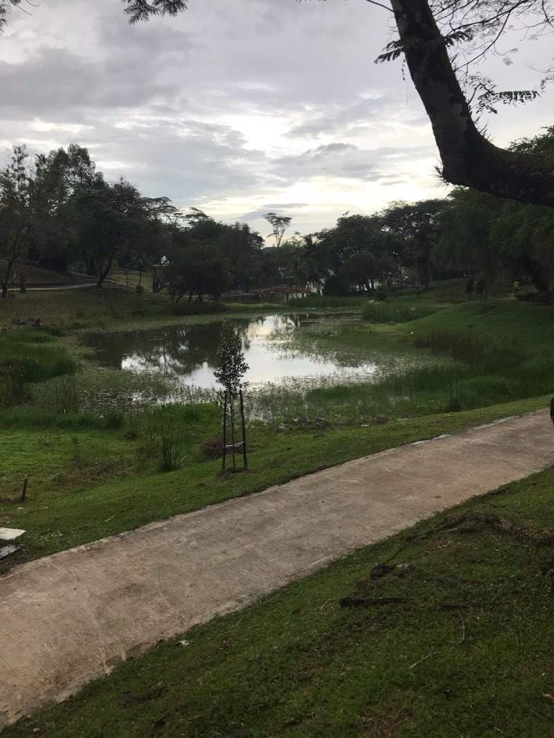 walking near me in Taman Muzium in winter