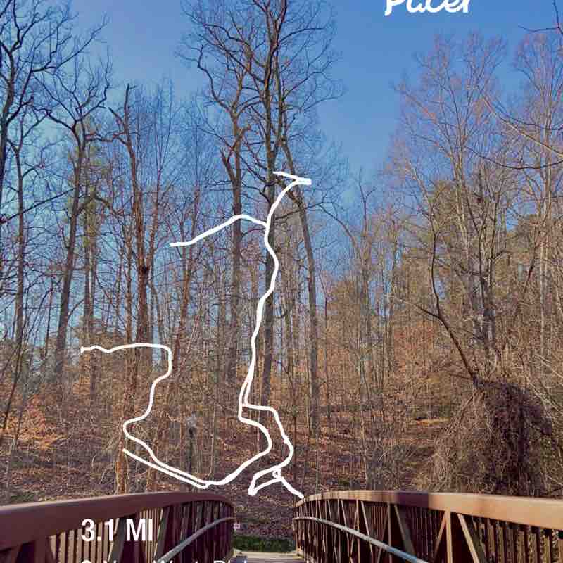 olgis.gutierrez post 1