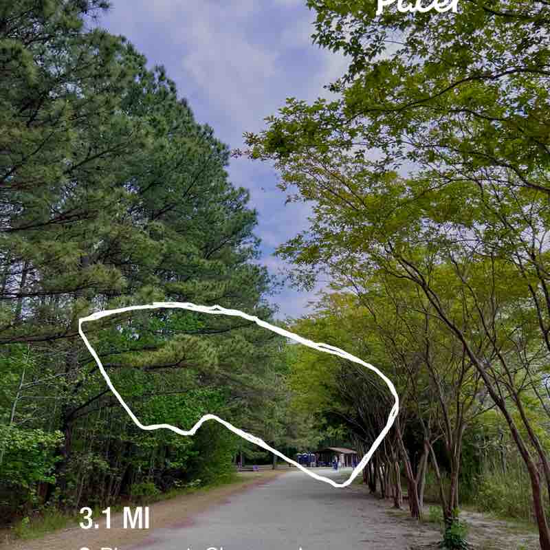 olgis.gutierrez post 1