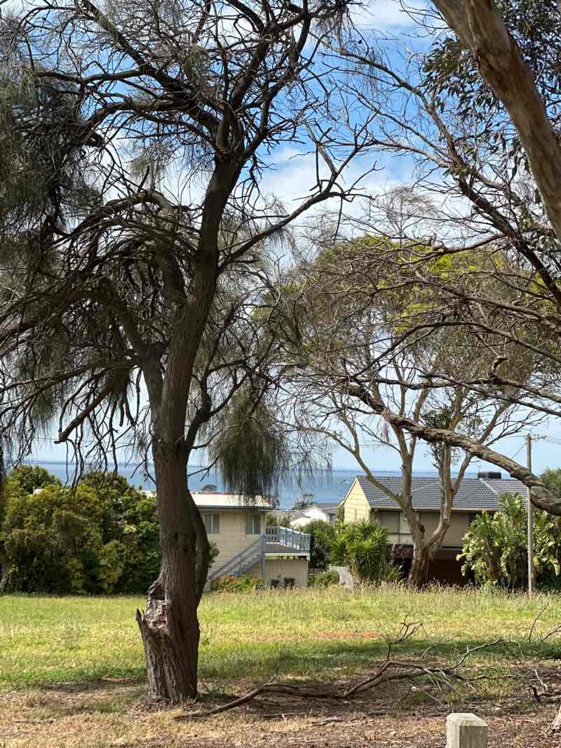 walking near me in Nottingham Reserve in summer