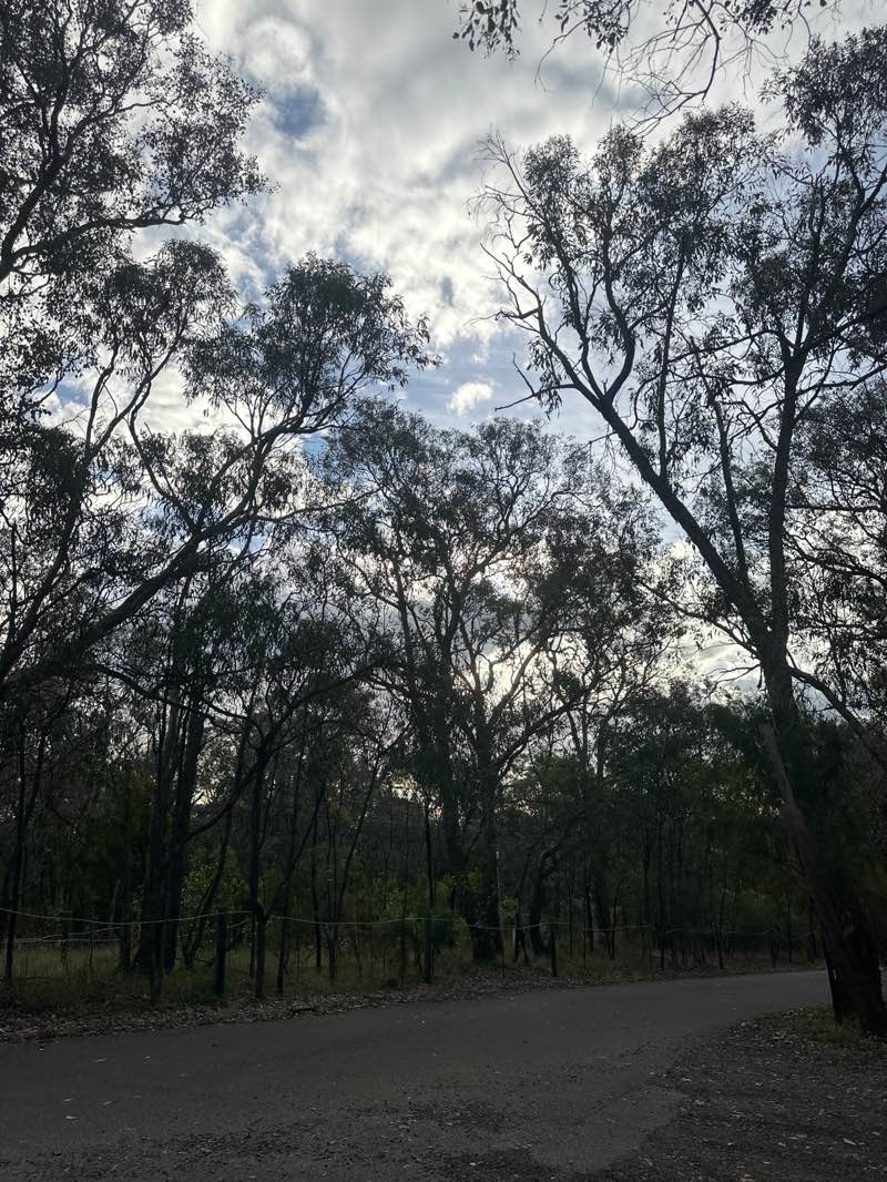 walking near me in Colman Park in summer