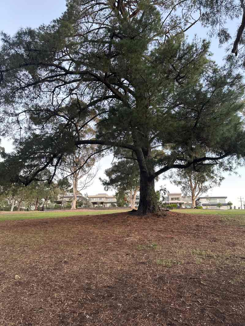 walking near me in Ruffey Lake Park in autumn
