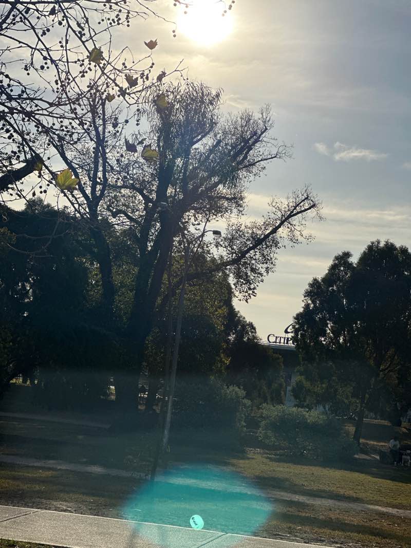 walking near me in Albert Park in autumn