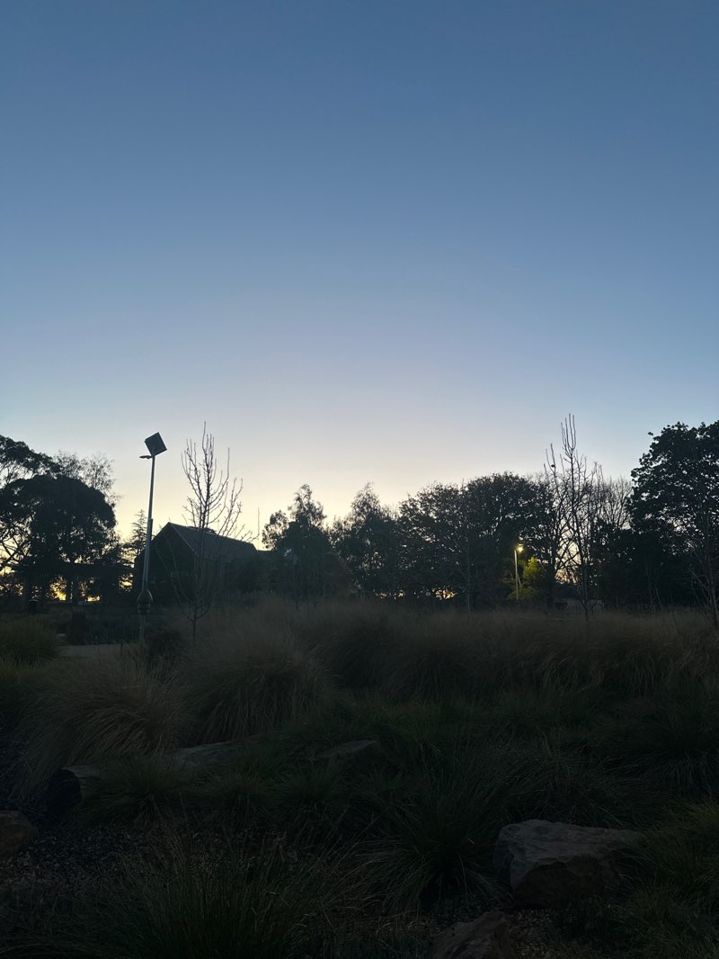 walking near me in Ecotherapy Park in winter