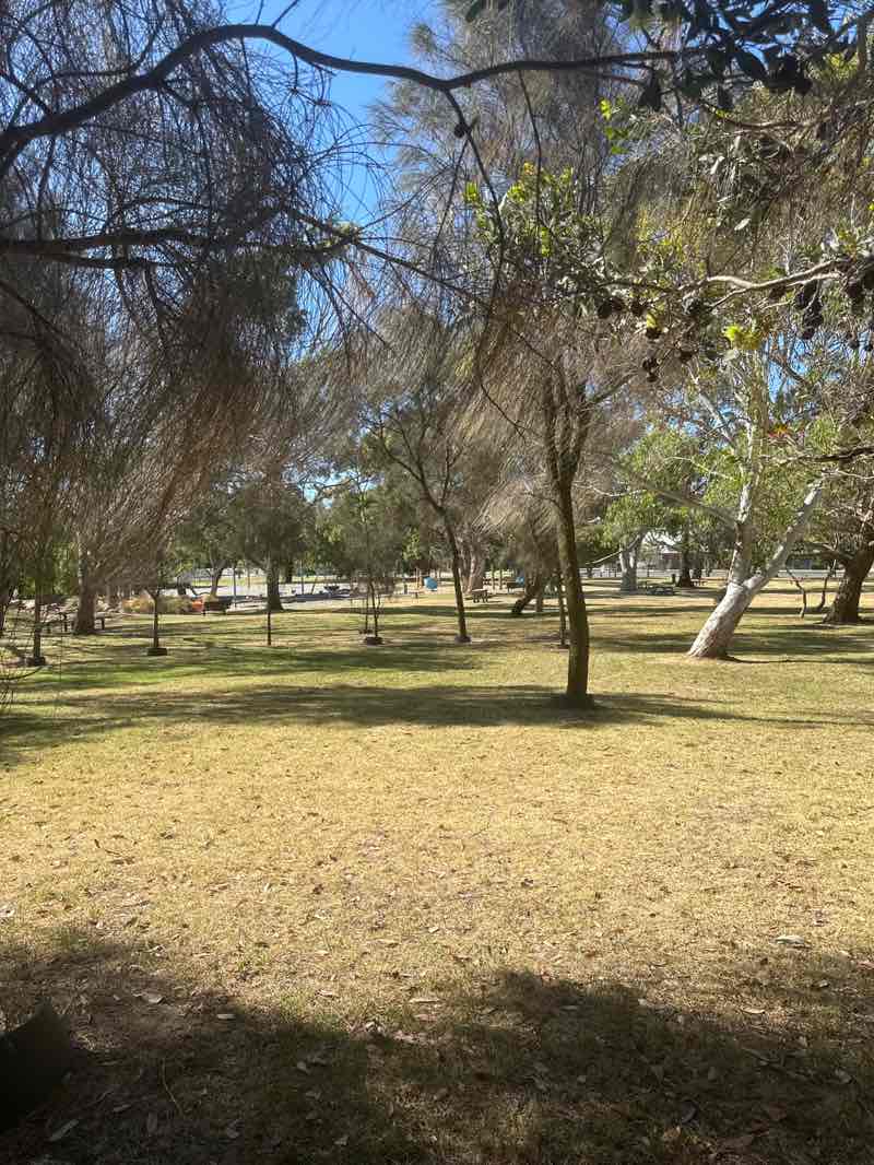 walking near me in Flinders Township Reserve in summer